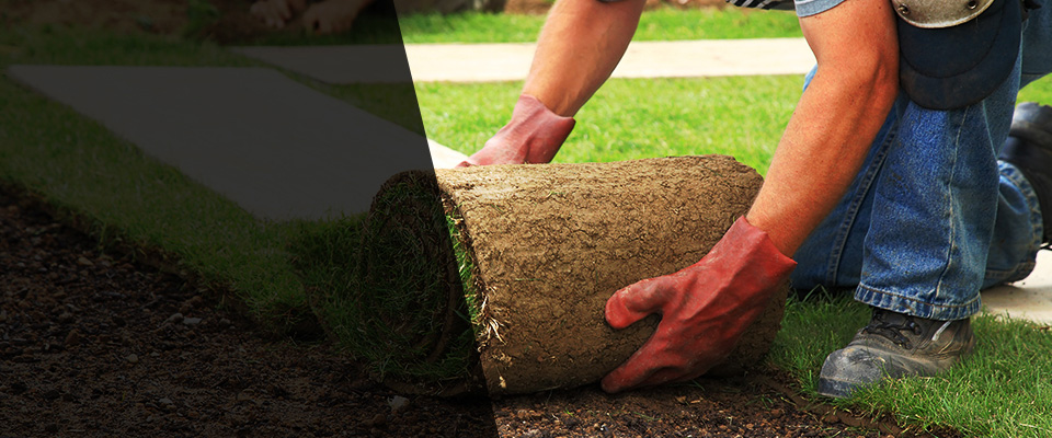 Youngstown Landscapers